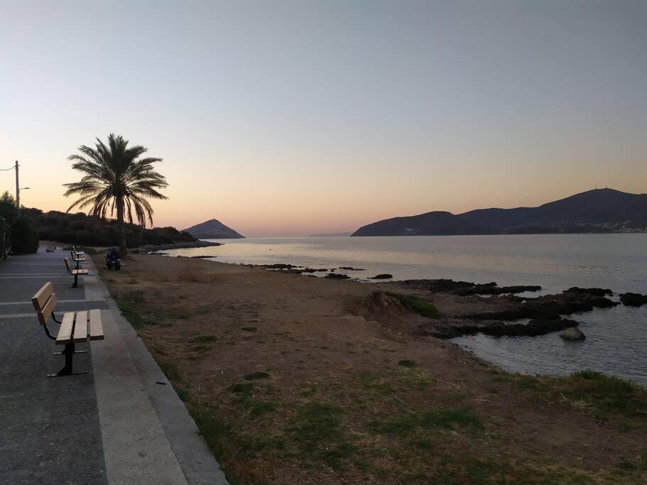 Modern Studio Next To The Sea! Pórto Ráfti Екстериор снимка